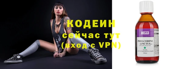 экстази Гусев