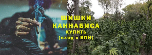экстази Гусь-Хрустальный