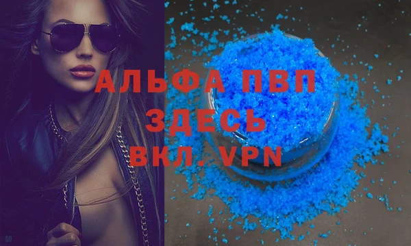 экстази Гусев