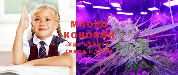экстази Гусев